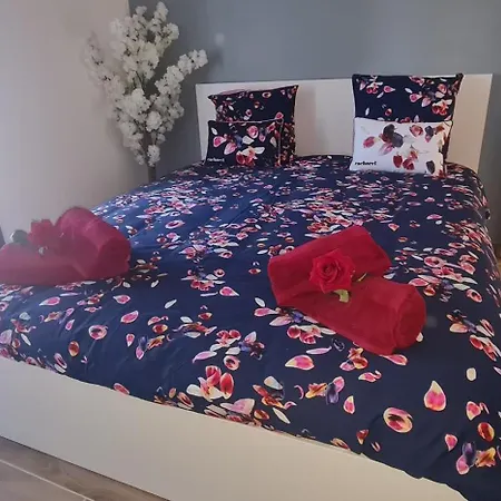 Villa Tres Belle Contemporaine *