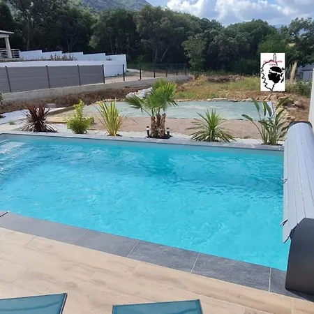 Tres Belle Contemporaine Villa